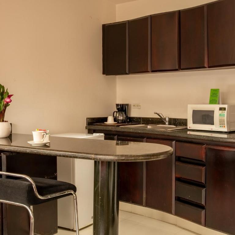 Richmond Suites Hotel - Suite con cama extragrande - 13