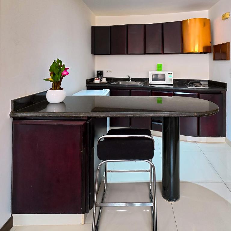 Richmond Suites Hotel - Suite con cama extragrande - 17