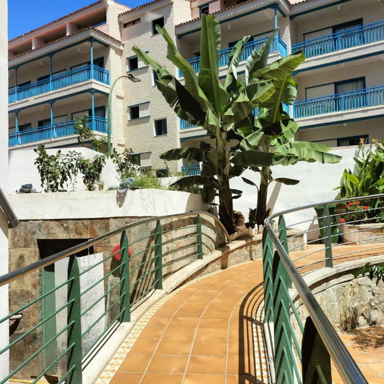Apartamentos La Carabela - Estudio (3 adultos) - 21