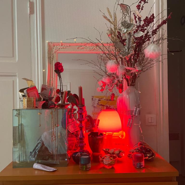 Cosy Little place near Eiffel Tower - Chambre Simple - 7