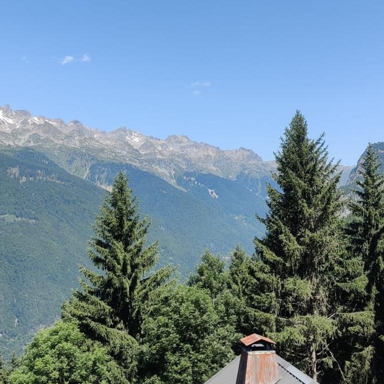Alpine Escape - Chalet - 13