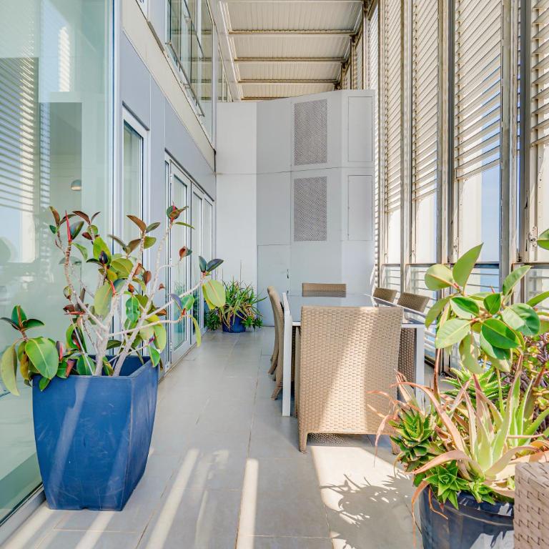 Penthouse With The Best Views! - Apartamento de 3 dormitorios - 50