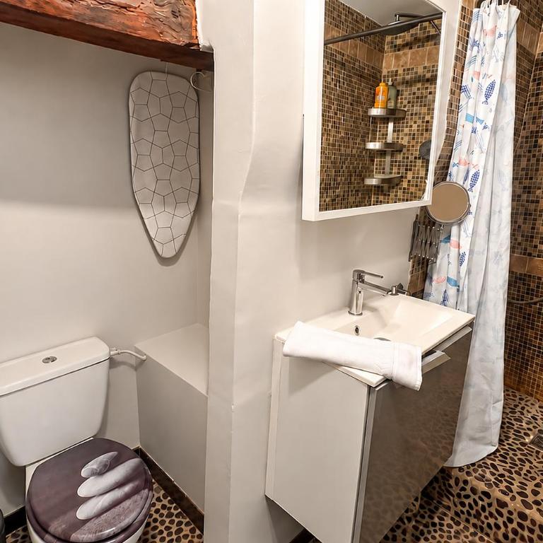 CLIM - 1 ch 1 sdb - Triplex atypique - Appartement 1 Chambre - 29