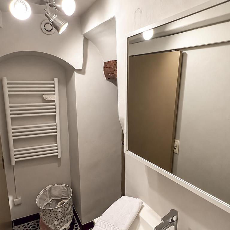 CLIM - 1 ch 1 sdb - Triplex atypique - Appartement 1 Chambre - 31