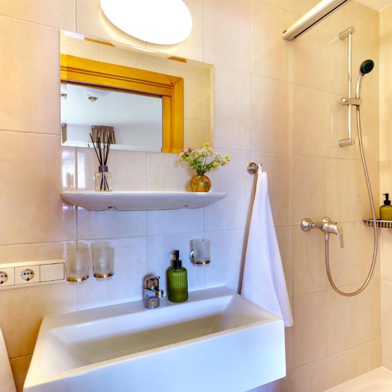 Apartmenthaus Ferdinand - Estudio con vistas a las montañas - 2