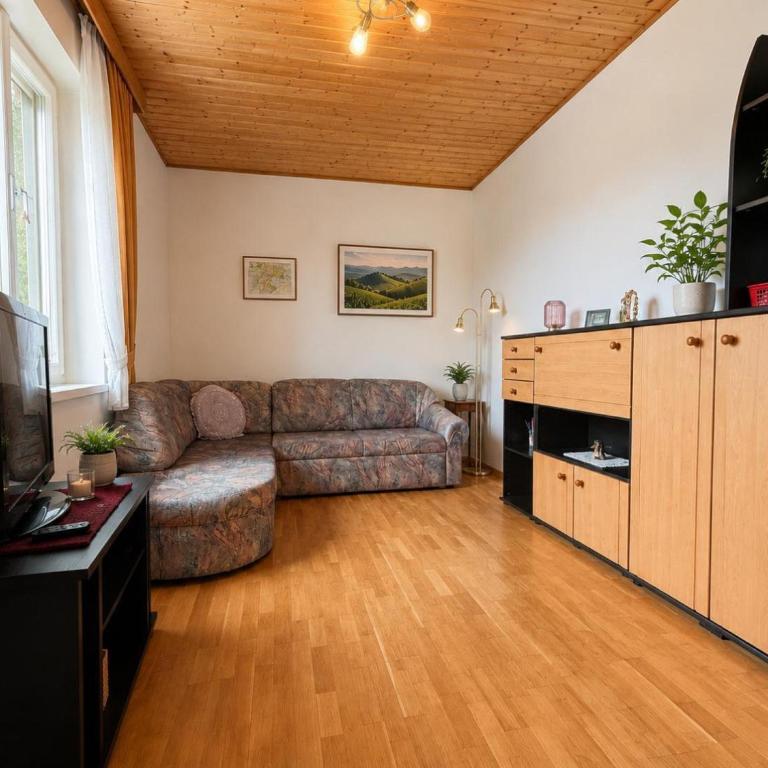 Charmante Unterkunft in der Cassa Julian in Wengen mit herrlicher Aussicht - Apartment mit 1 Schlafzimmer - 3