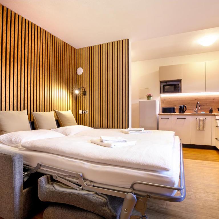 Apartmenthaus Ferdinand - Apartamento de 1 dormitorio con balcón - 3