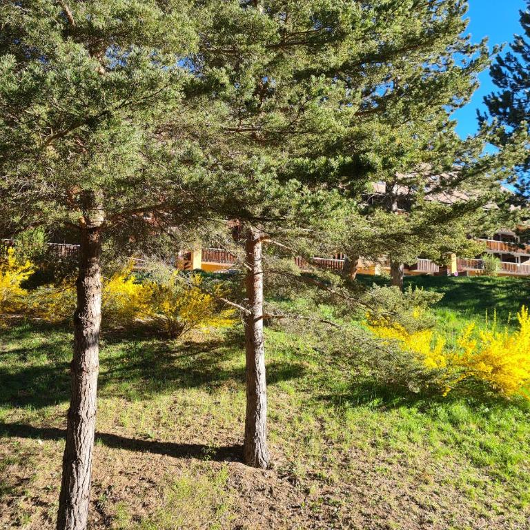 Le COCON du VERDON - Appartement 2 Chambres - 15