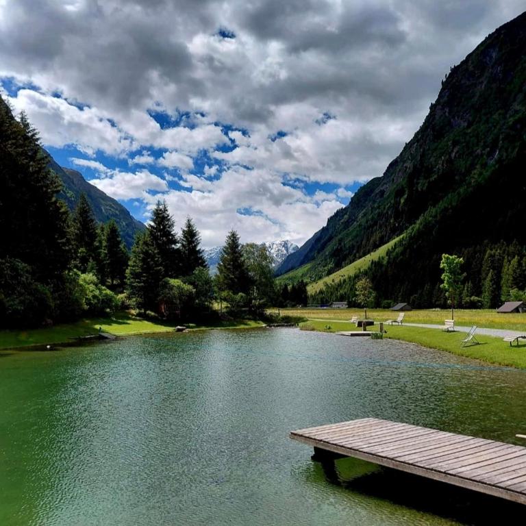 Haus Alpenrose Pitztal-Sommercard-Partner - Apartment - 48