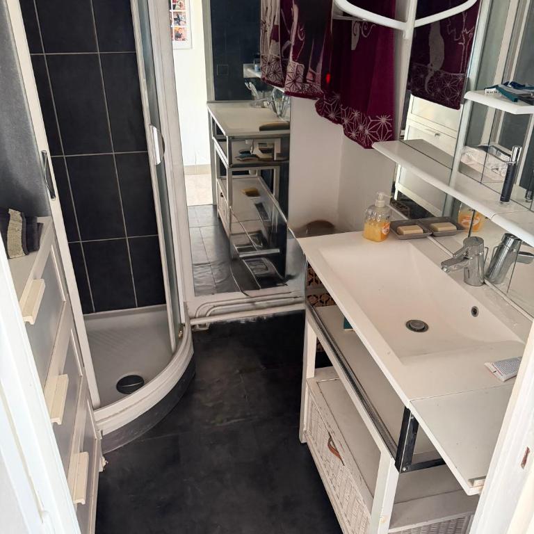 La Rivoire - Appartement 1 Chambre - 3