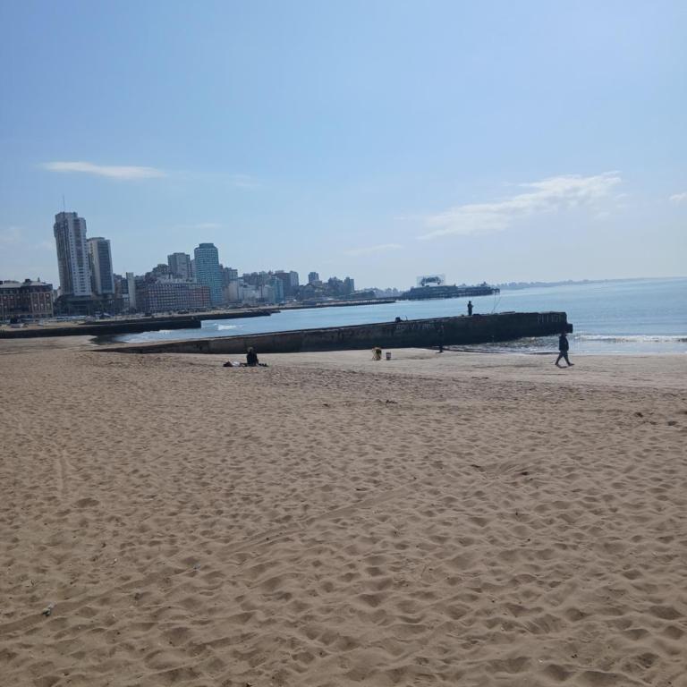 Albatros MDQ - One-Bedroom Apartment - 12