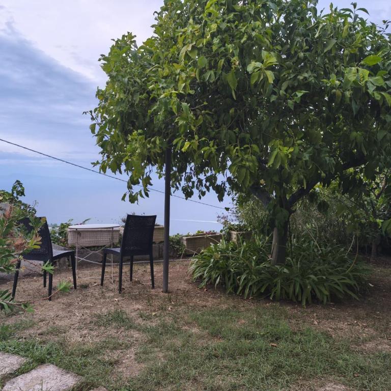 La Grande Bellezza Sorrento - Appartamento con 1 Camera da Letto - 42