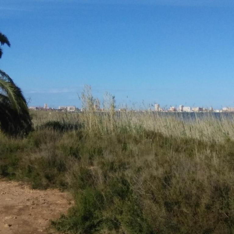 Nice Apartment On The Coast - Apartamento con terraza - 4