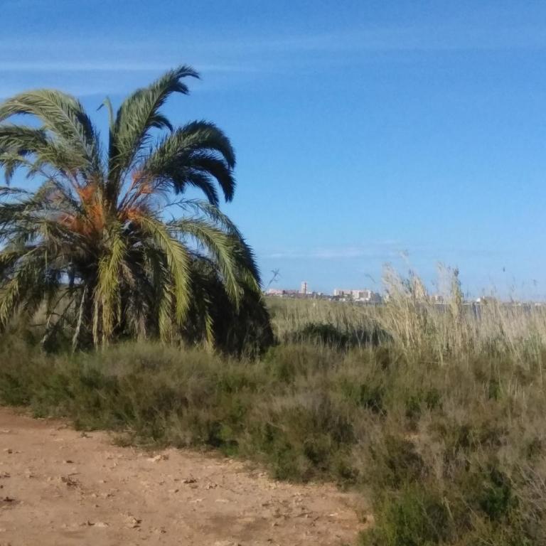 Nice Apartment On The Coast - Apartamento con terraza - 14