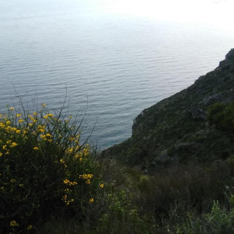 Nice Apartment On The Coast - Apartamento con terraza - 37