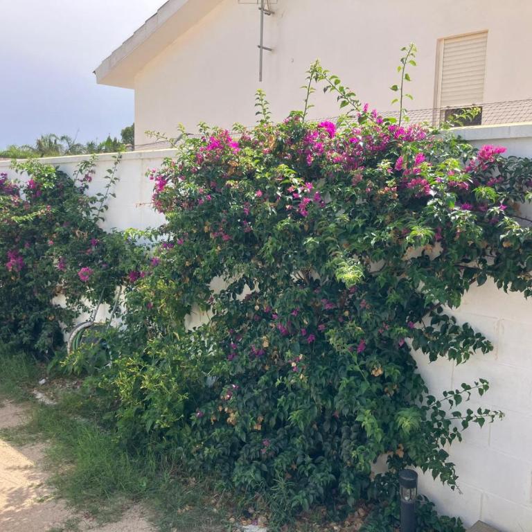 Balcón de Conil Park - Casa de 2 dormitorios - 13