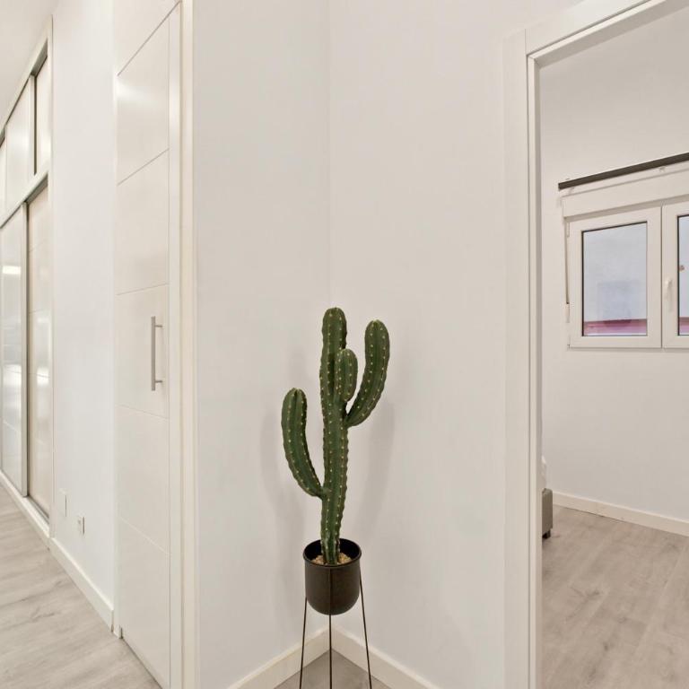 Amplio Apartamento Puerta del Sol - Apartment - 3