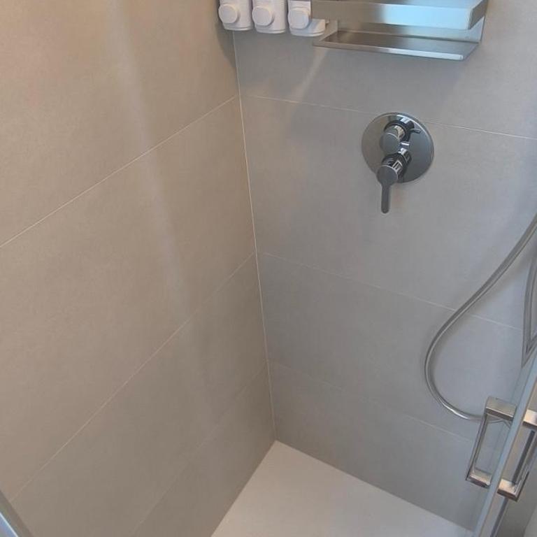 Larius Apartment Lecco - Appartamento con 1 Camera da Letto - 54
