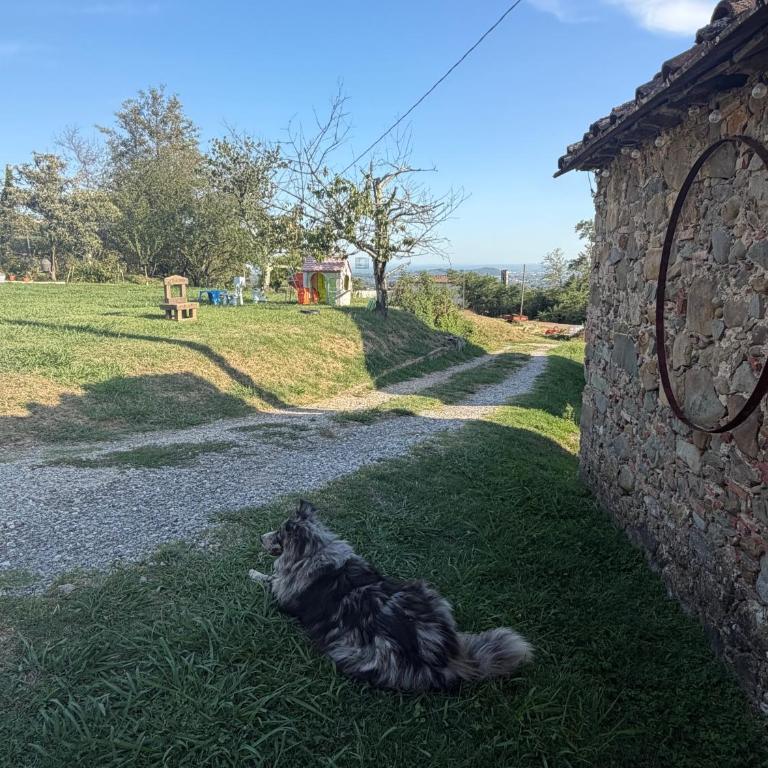 Tuscany Terroir - Casa con 2 Camere da Letto - 29