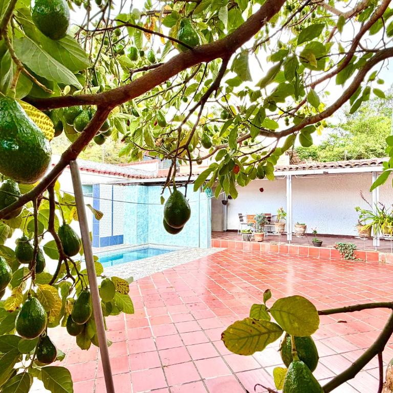 Villa YARA - Four-Bedroom House - 25