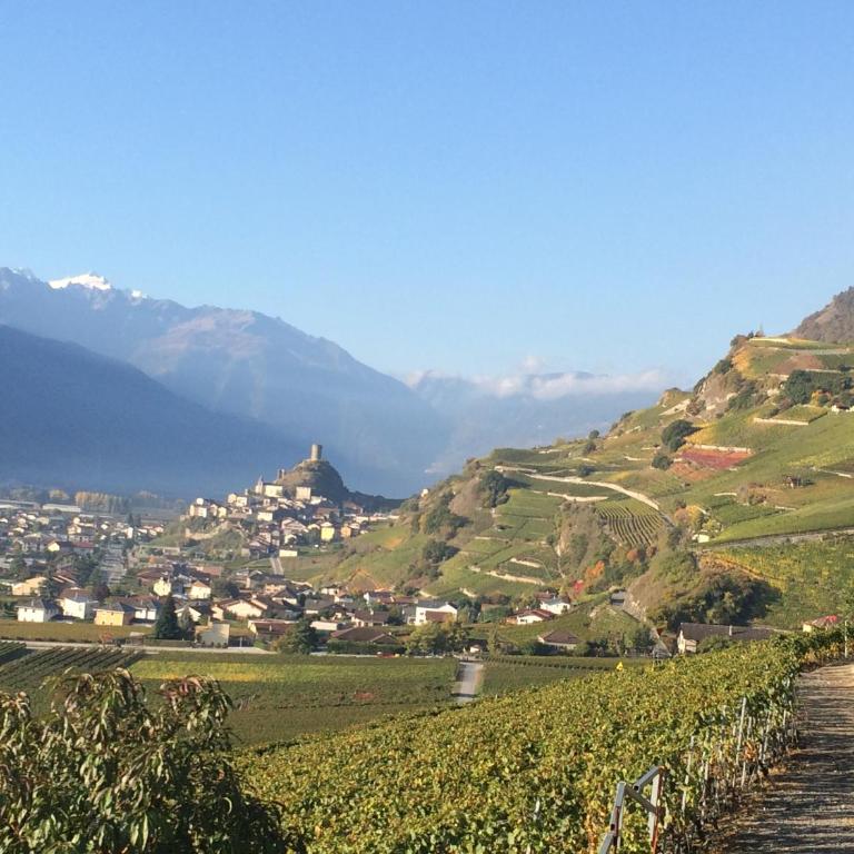 Saillon Bains, randos, vélo, ski & vignes - Apartment mit Blick auf die Berge - 4