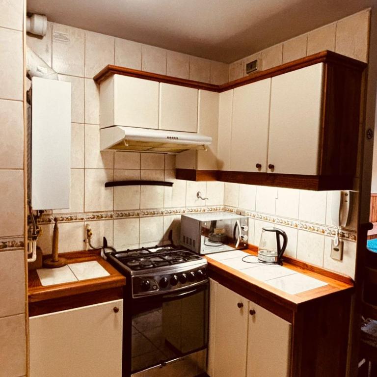 Acogedor Departamento Pucon - One-Bedroom Apartment with View - 3
