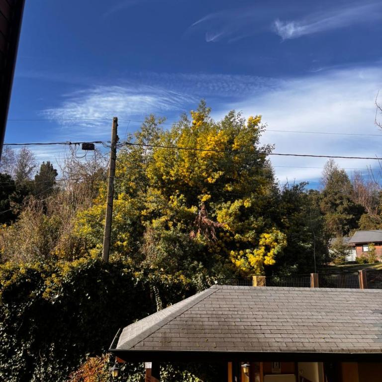 Acogedor Departamento Pucon - One-Bedroom Apartment with View - 6