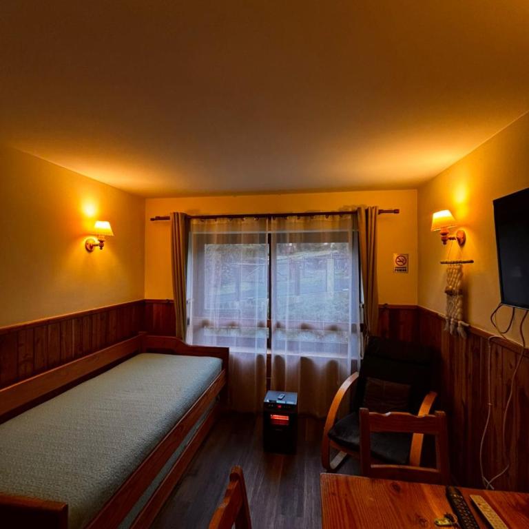 Acogedor Departamento Pucon - One-Bedroom Apartment with View - 15