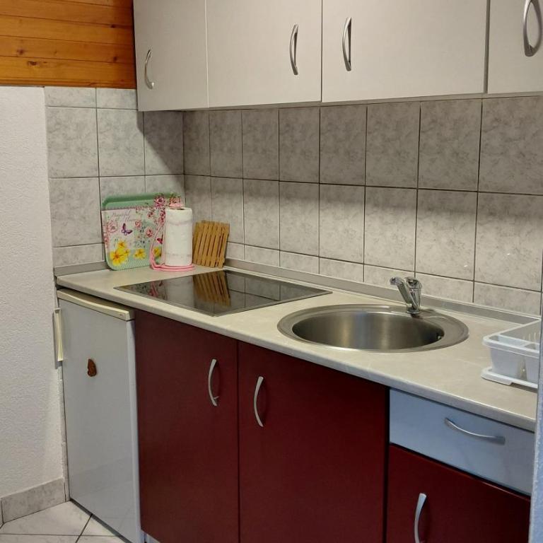 Villa Strahinja Lux Jahorina - Apartman sa 2 Spavaće Sobe (8 Odraslih Osoba) - 19