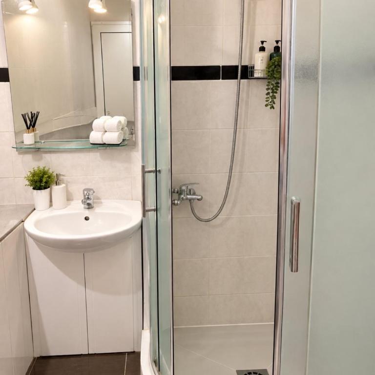 Apartments Airport Golubovci - One-Bedroom Apartment - 7