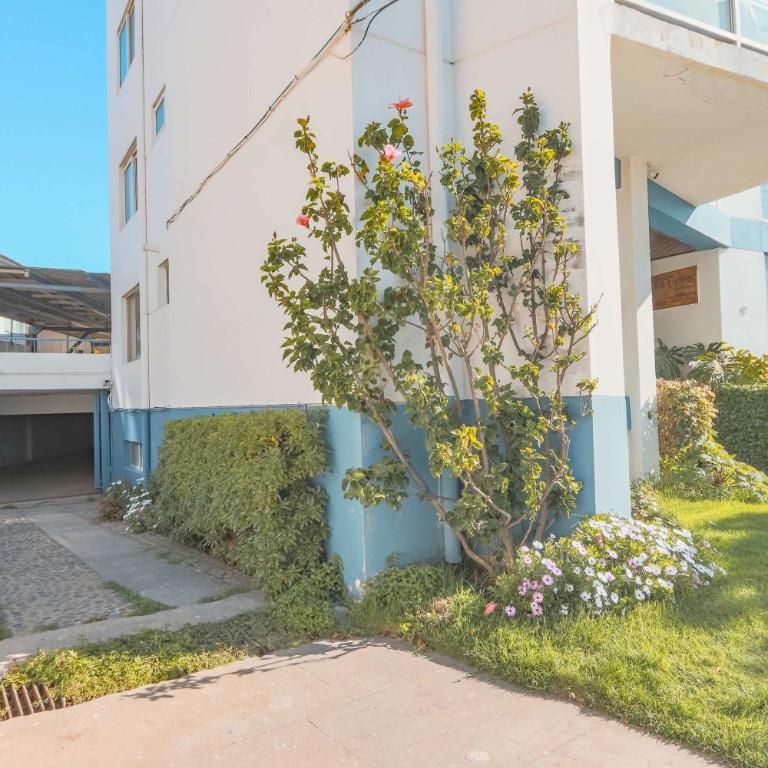 Spacious 4 bedroom Apt In Vina del Mar 7 Guest - Apartamento - 44