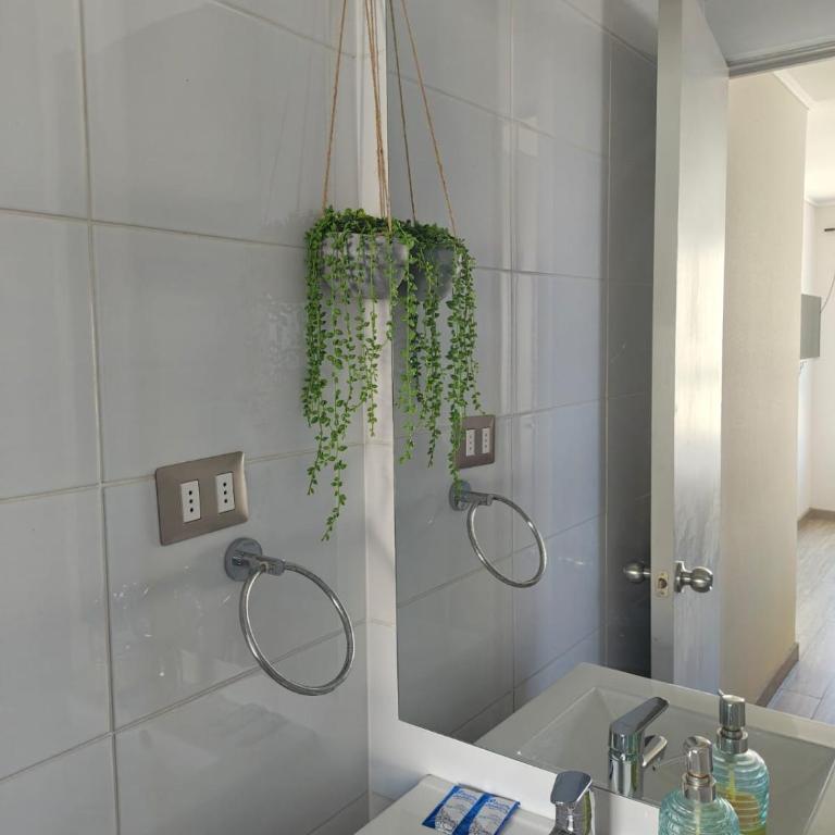 VIP Suite Antofagasta - Apartamento de 1 dormitorio - 32