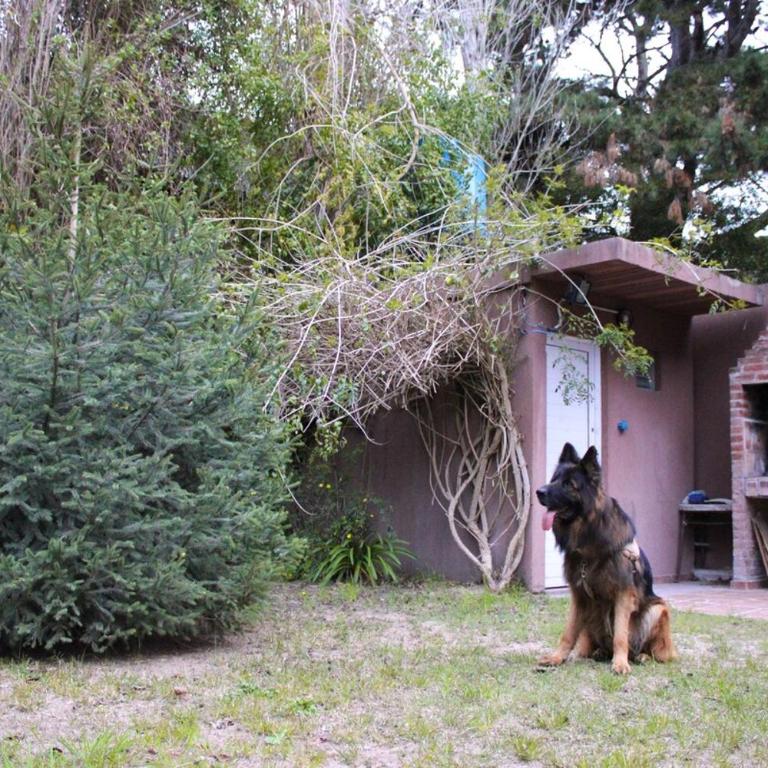 CASA TATA HOME, your haven in Mar Azul - Casa de 3 dormitorios - 7