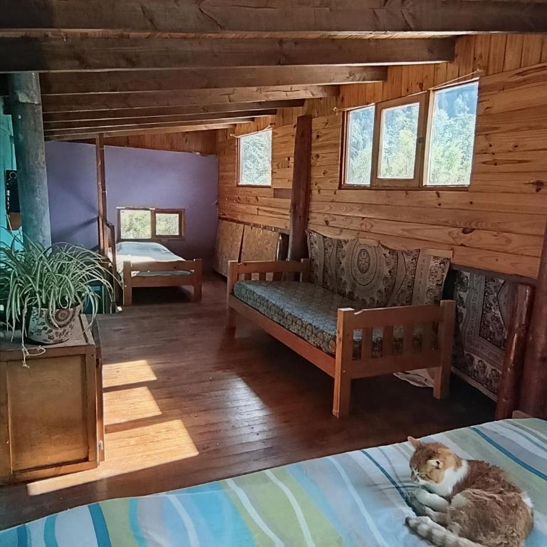 Rey Sol Reina Luna - Single Bed in 4-Bed Dormitory Room - 4