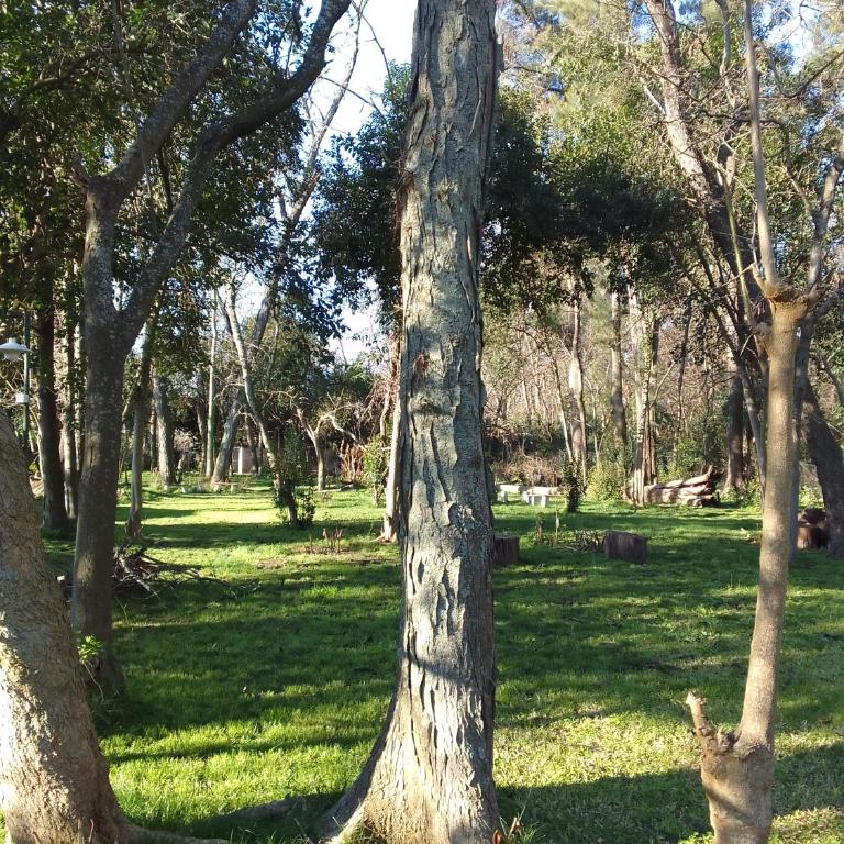Hermosa Casa Quinta 5000m2 de parque !! - Casa de 3 dormitorios - 4
