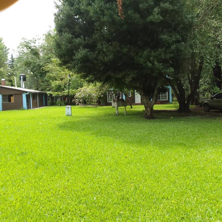 Hermosa Casa Quinta 5000m2 de parque !! - Casa de 3 dormitorios - 6