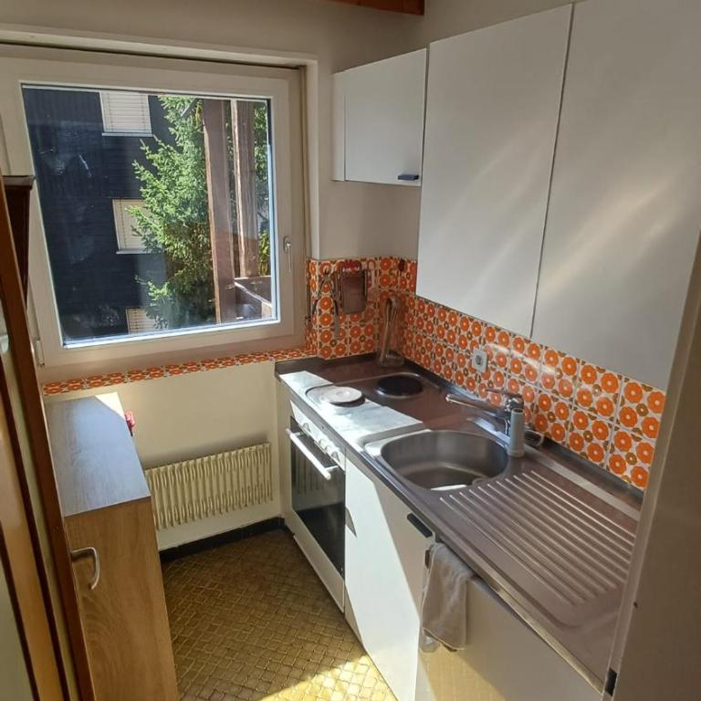 stunning glacier and mountain view - Apartment mit 2 Schlafzimmern - 4