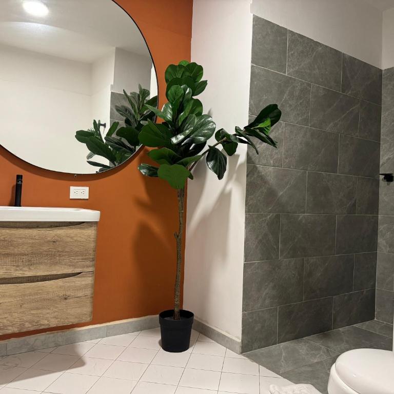 Club House Laureles - Apartment - 2