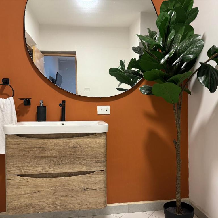 Club House Laureles - Apartment - 3