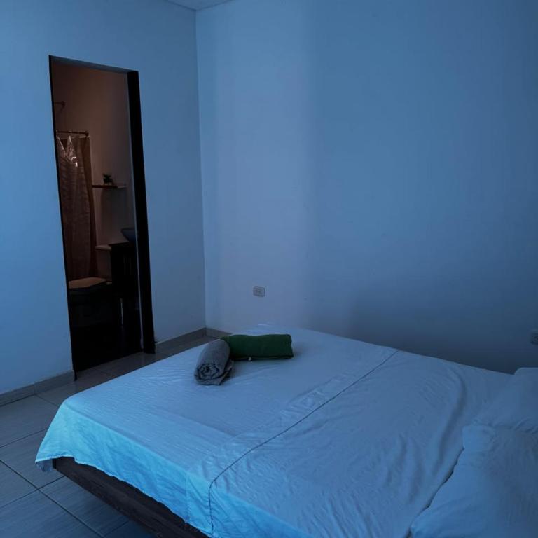 Casa Vacional piscina entre Girardot y Flandes - Casa de 3 dormitorios - 6