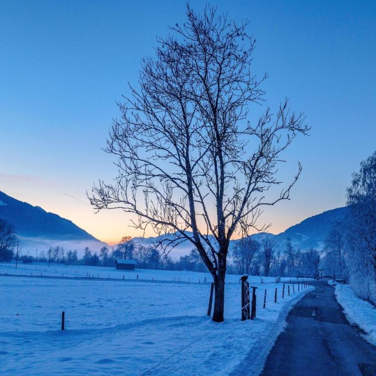 Chalet in Fürth near Zell am See Ski Slopes - Superior Chalet - 53