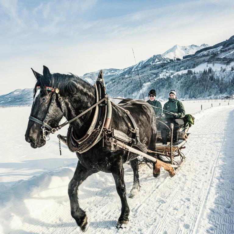Chalet in Fürth near Zell am See Ski Slopes - Superior Chalet - 56