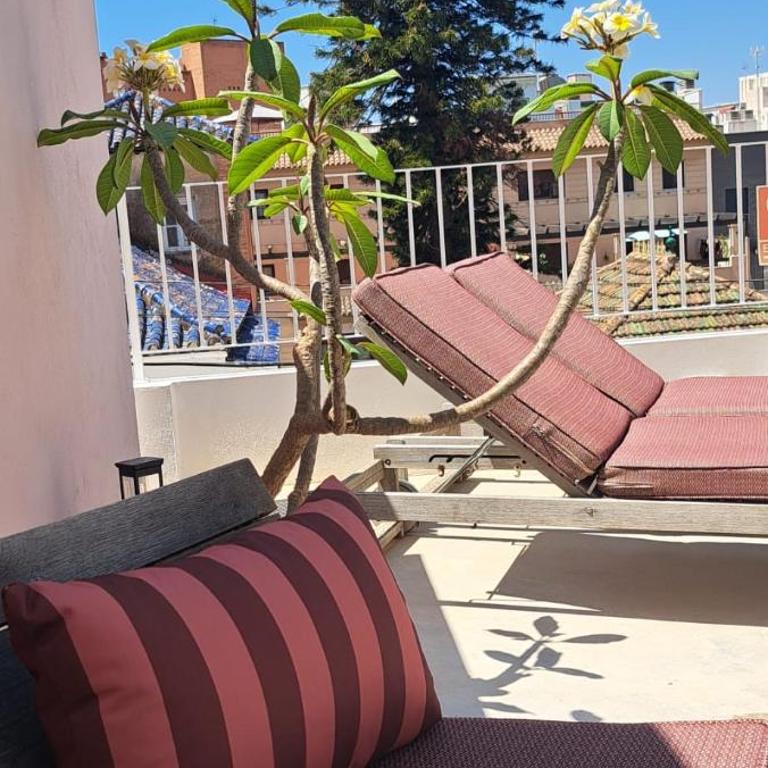 SUITES 9 MALAGA, three unique suites with private plunge pool - Apartment mit 1 Schlafzimmer - 30