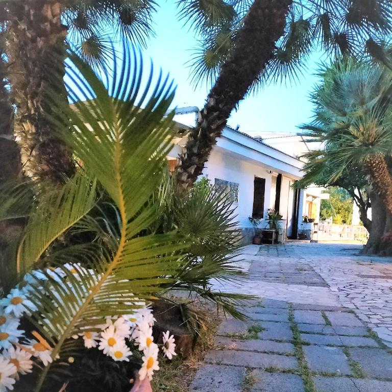Villa Iaccarino Vista Golfo di Napoli e Ampi Spazi - Villa - 100