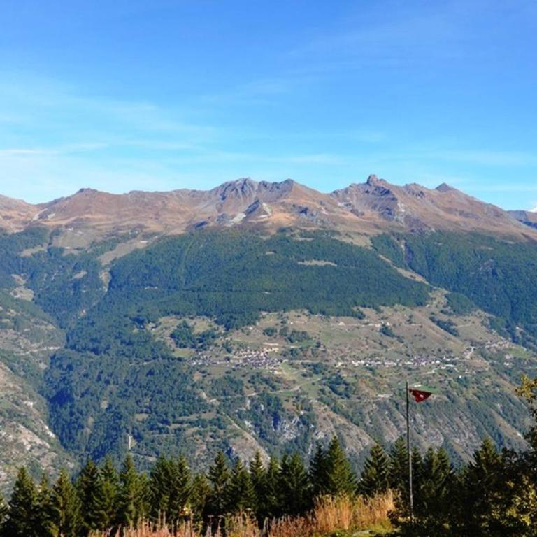 Immeuble Les Aiglons - Two-Bedroom Apartment - 45 - 11