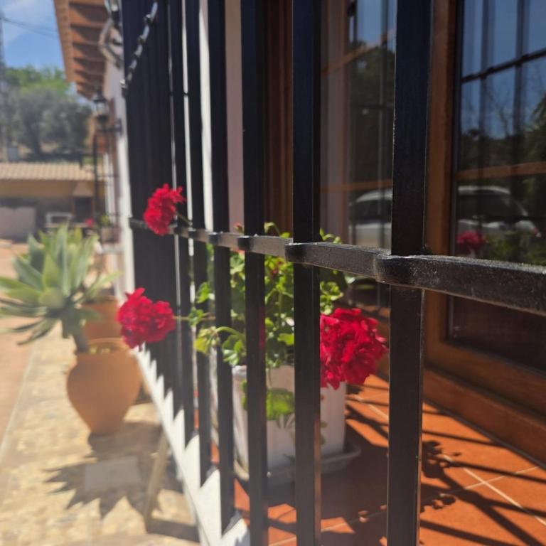 Casa Loire - Private Villa with Pool - Chalet de 3 dormitorios - 15