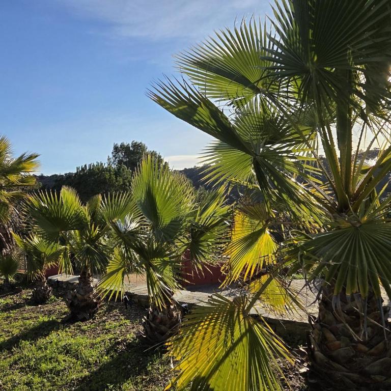 Casa Loire - Private Villa with Pool - Chalet de 3 dormitorios - 56