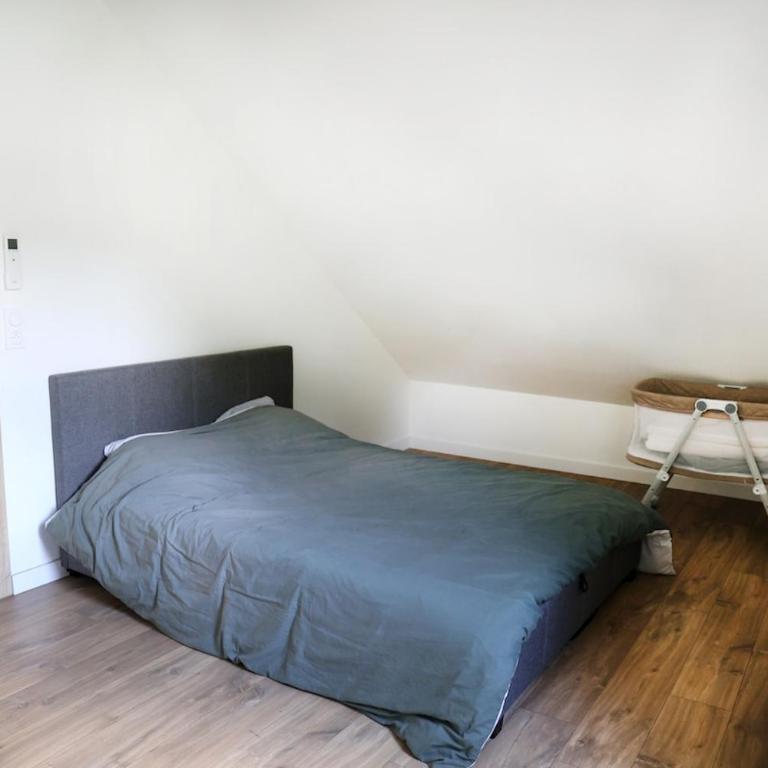 Cocon idéal entre Lac & Ville - Appartement 1 Chambre - 8