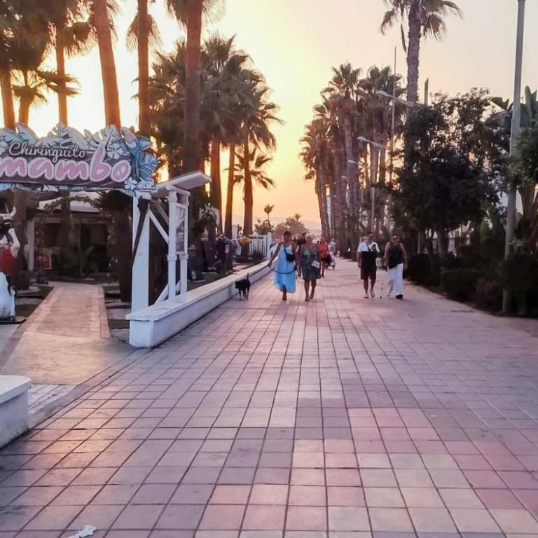 Apartamento Laguna Beach Torrox Costa - Appartement 1 Chambre - 28
