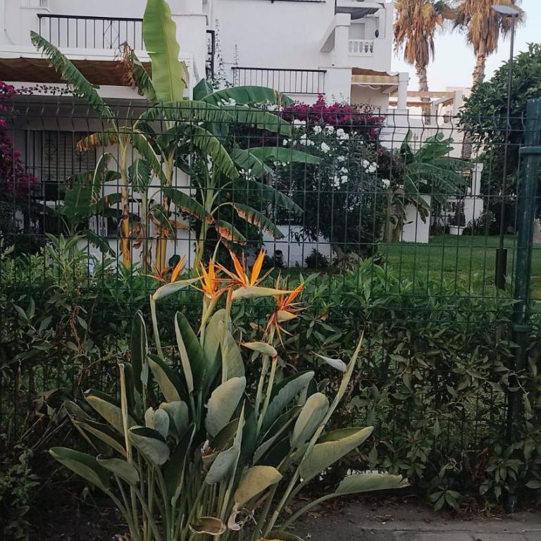 Apartamento Laguna Beach Torrox Costa - Appartement 1 Chambre - 25